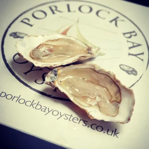 Porlock Bay Oysters