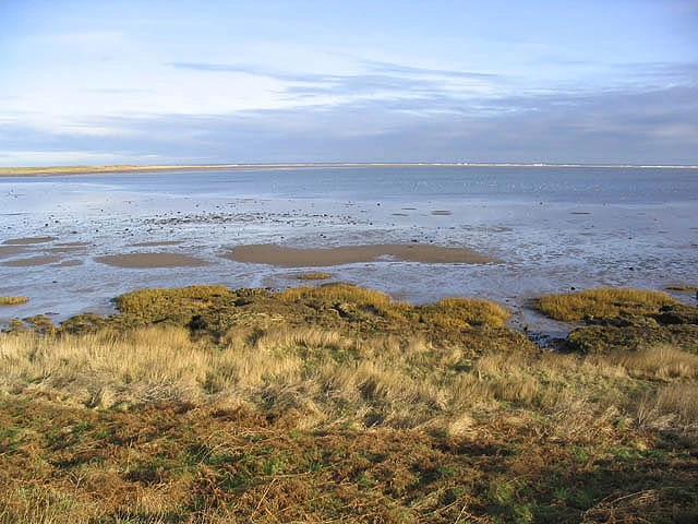 lindisfarne National nature reserve. 