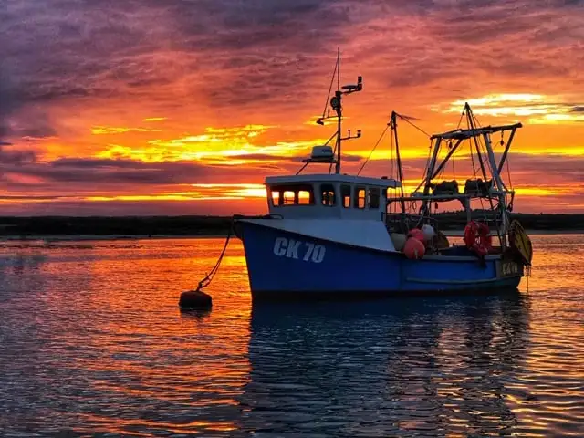 cultivation method of belbin seafood