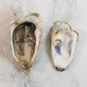Maldon Oysters