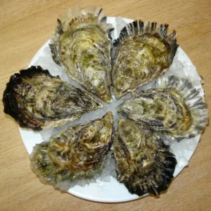 Morecambe Bay Oysters