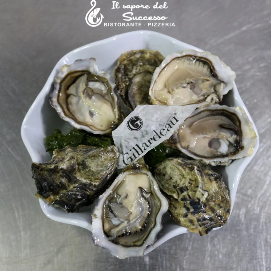 gillardeau oysters