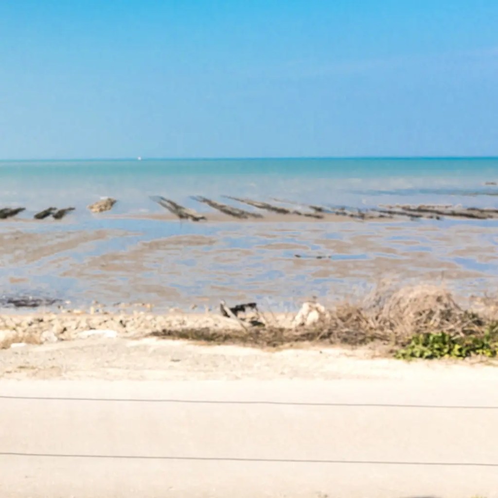 Marennes-Ol&eacute;ron basin