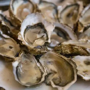 Bouzigues Oysters