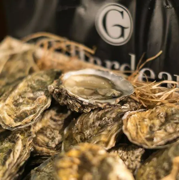 packaging for gillardaaeu oysters