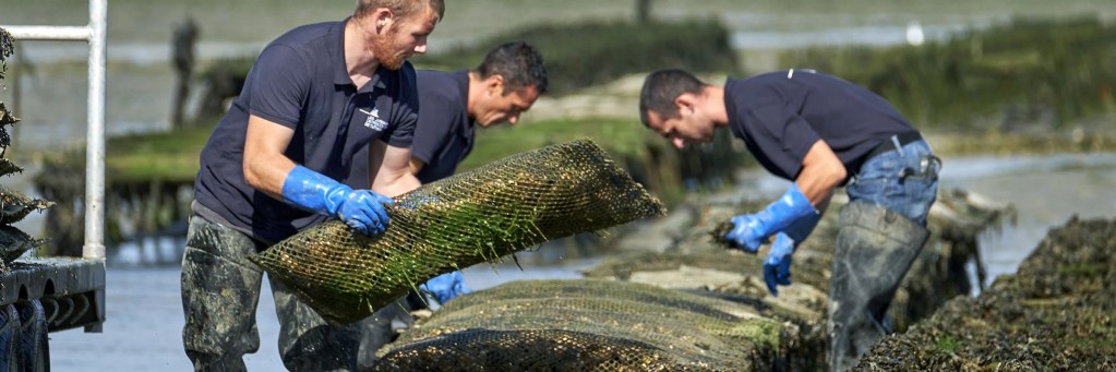 Les Jardins Ostr&eacute;icoles de Tatihou team