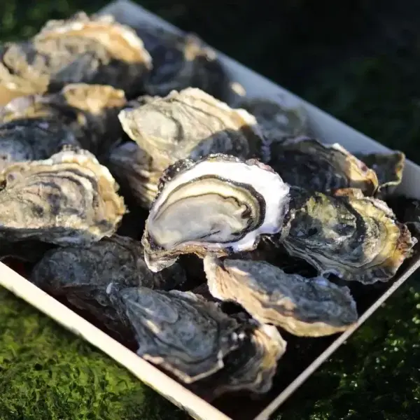 ad'helie oysters