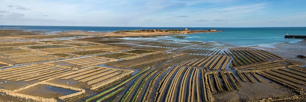 Les Jardins Ostr&eacute;icoles de Tatihou cultivation area