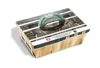 box of fine de claire verte oysters