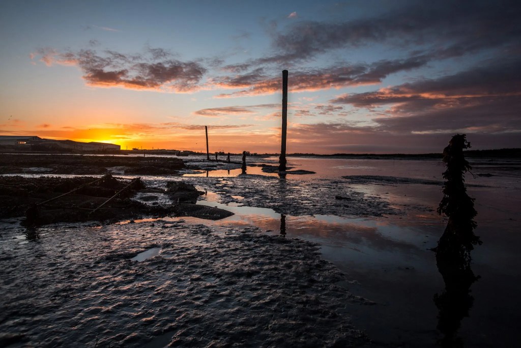 fine de claire location in marrenes oleron