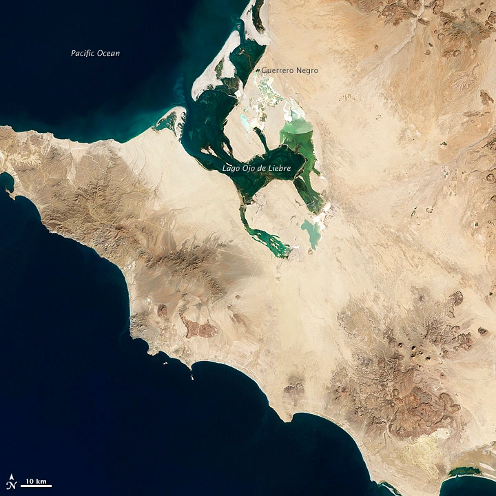 satellite imagery of Guerrero Negro 