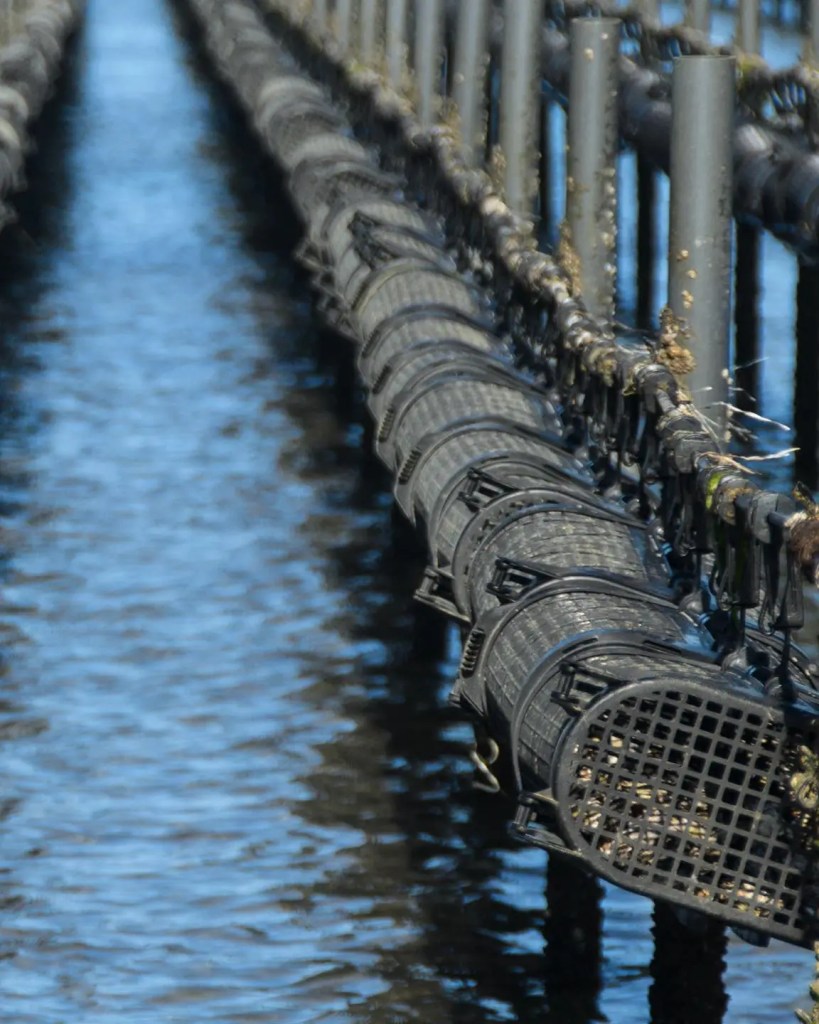 advanced suspension method 