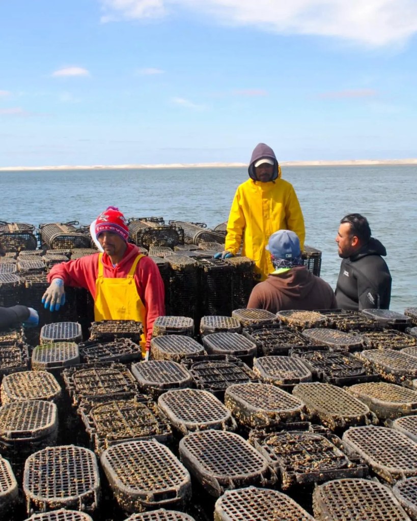Baja Shellfish Farms team