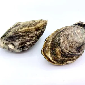 El Chingón Oysters