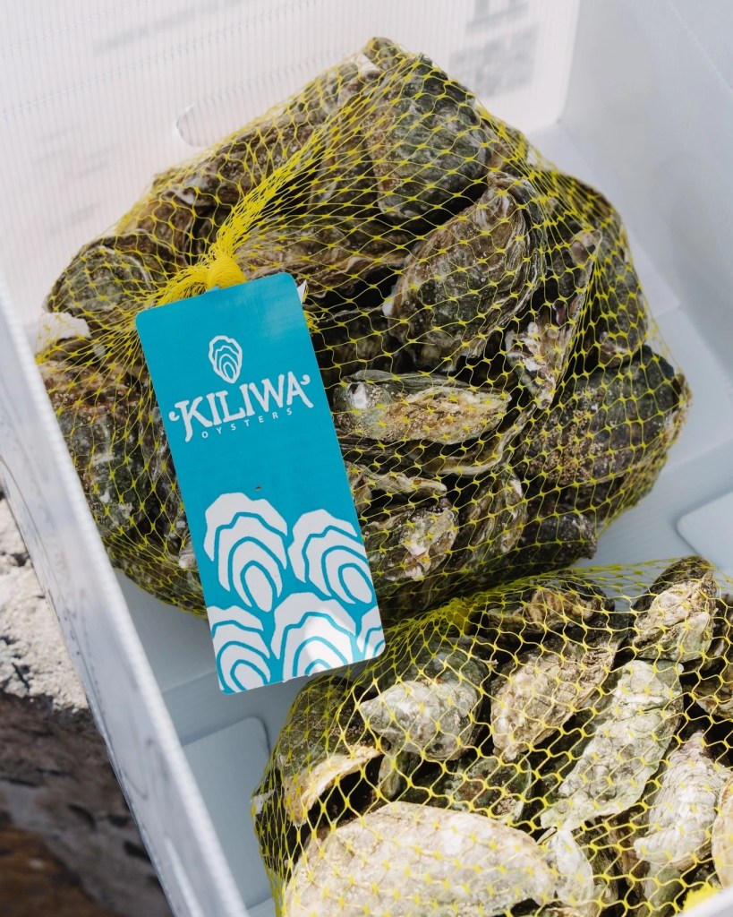 kiliwa oysters in thier packaging