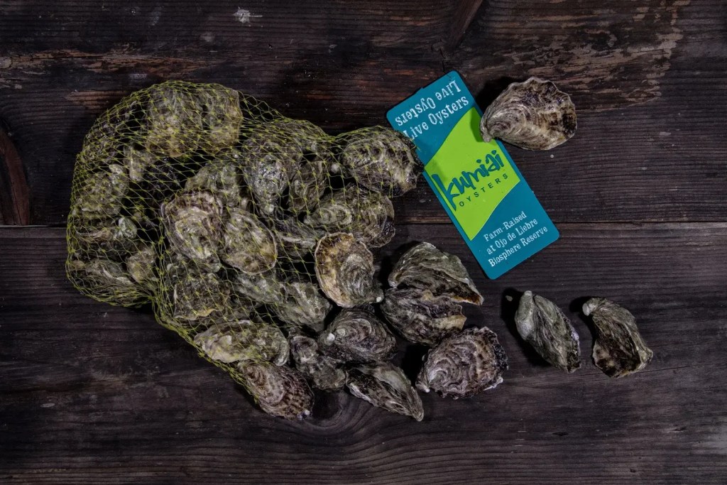 kumiai oysters packaging