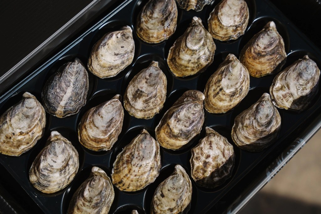 Pai Pai Oysters packaging