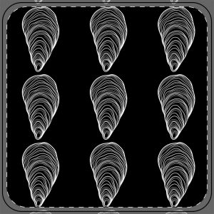 Oyster Encyclopedia Logo Tile Coaster – Premium Cork-Backed Coaster for Oyster Lovers