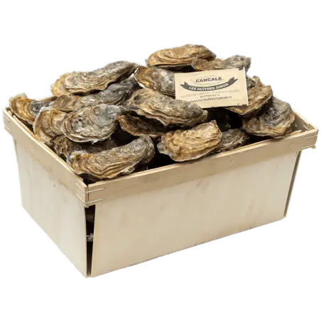 creuese oysters packaging