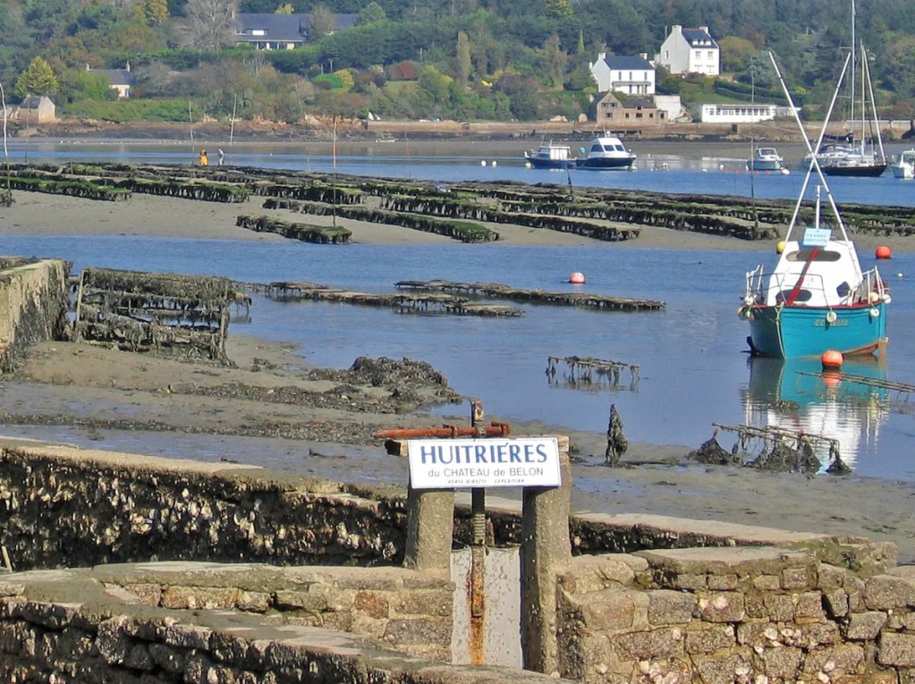 oyster farming in the belon river france