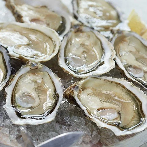fine de bretagne oysters