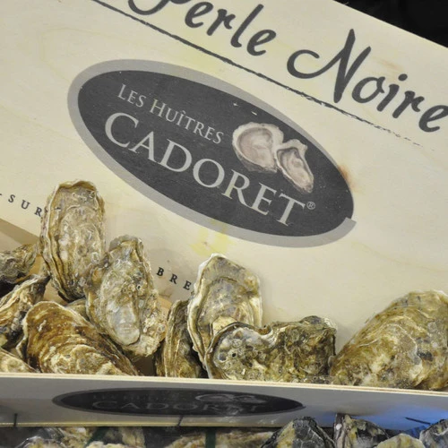 Pearle noire oysters packaging