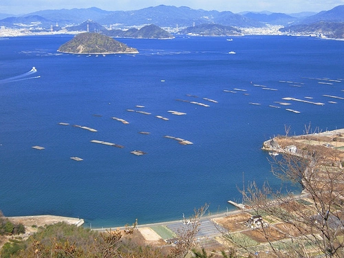 Hiroshima bay aerial view. 