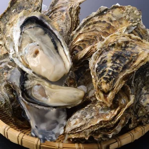 Akkeshi Kaki Oysters