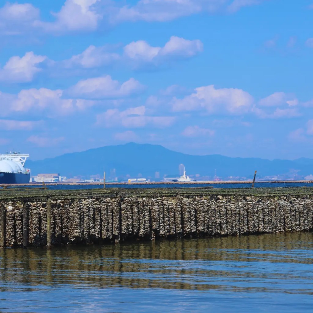 “Hiroshima oyster farming rafts suspended over calm water with city skyline and mountains in the background under a bright blue sky.