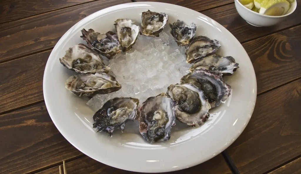 Claire Stripe oysters on the half shell on ice — Farm Suzuki, Hiroshima, Japan