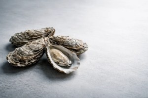 Whole oysters photographed in a clean editorial style for an article about oyster nutrition and health benefits.