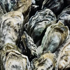 Hiroshima Kaki Oysters
