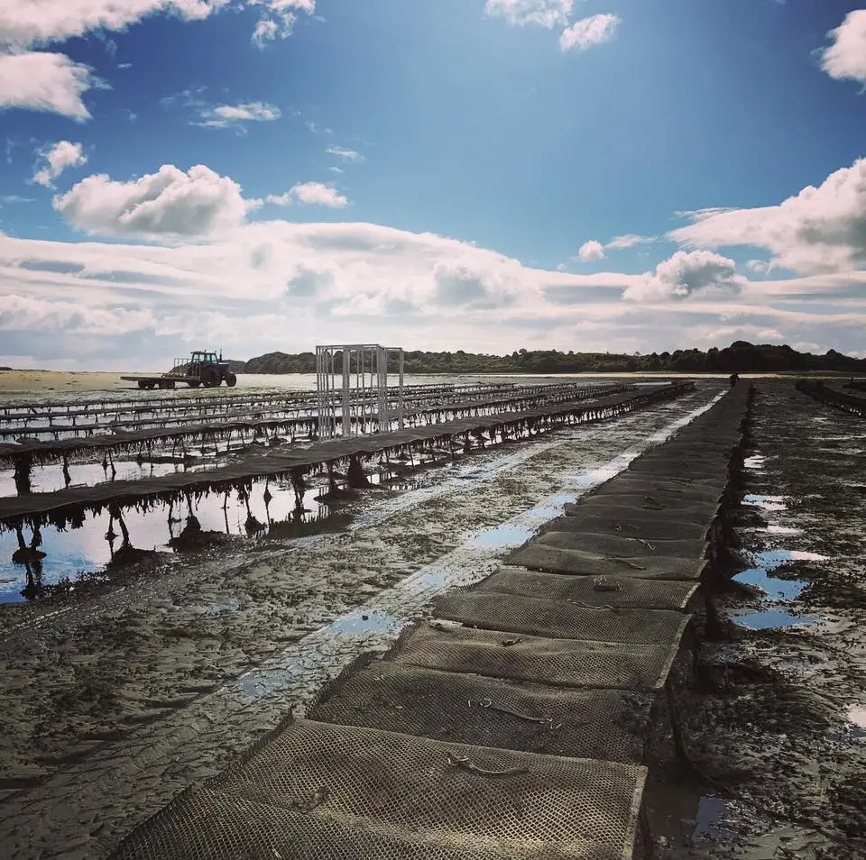 cultivation method at la famille boutrais farm