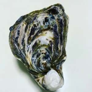 Karatomari Ebisu Oysters