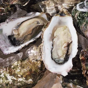 Noto Kaki Oysters