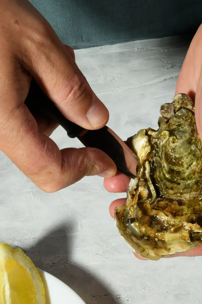 Oyster knife tip being inserted carefully into the hinge while the oyster is stabilized in the holding hand