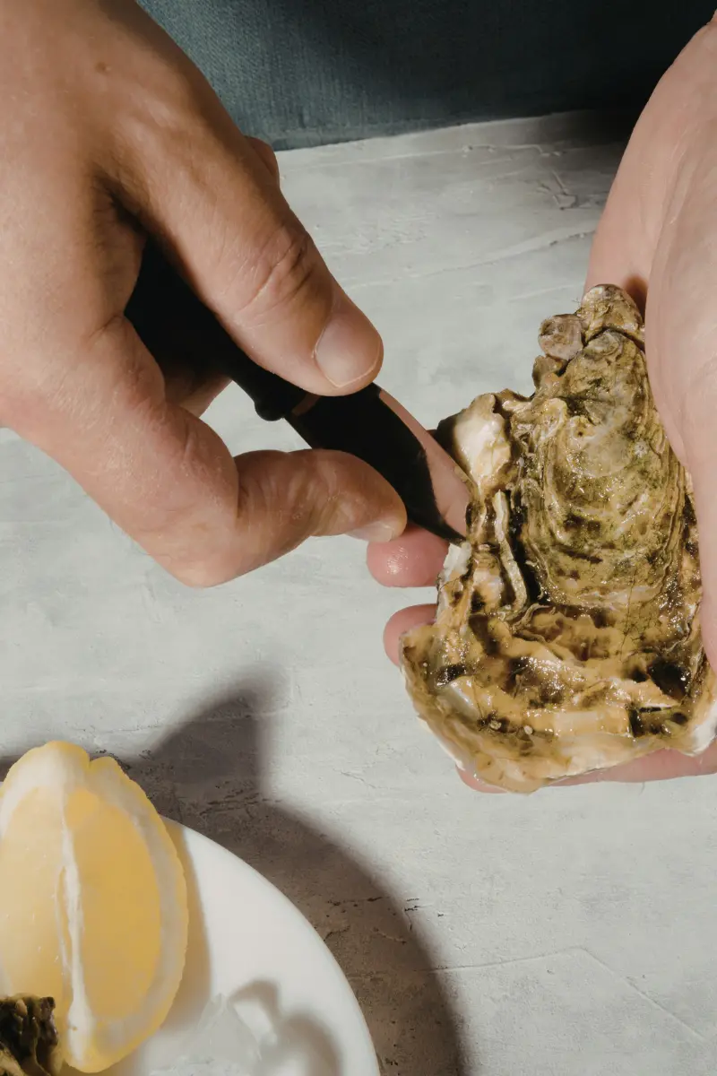 Close-up of an oyster held securely in the palm with the shell facing up and the hinge exposed