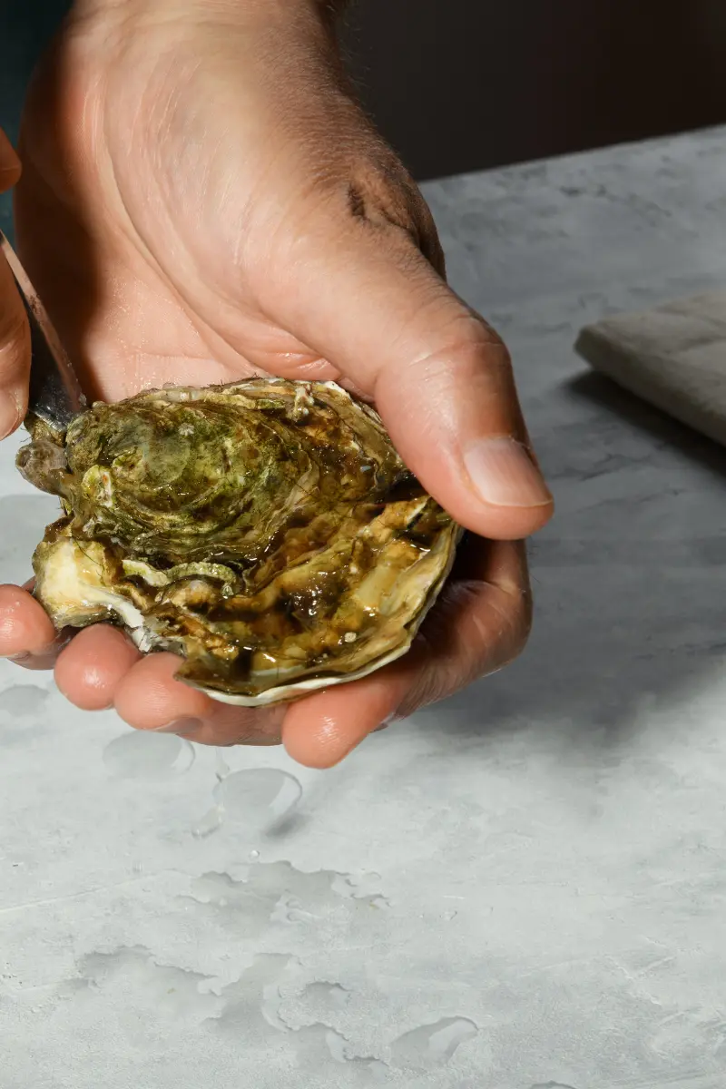 Oyster shell opening as the knife twists inside the hinge to separate the top shell