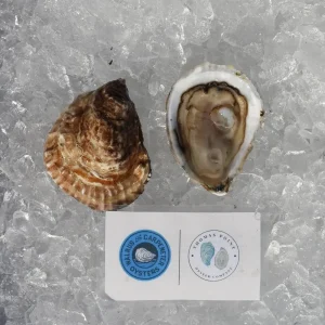 Thomas Points Oysters