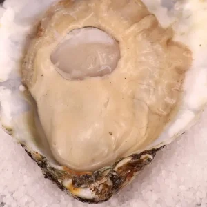 Whitecap Oysters