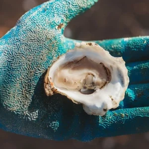 Aunt Dotty’s Oysters