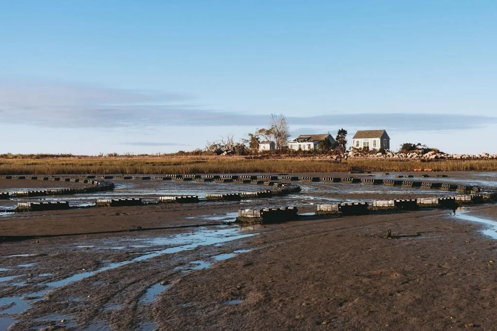 Aunt Dotty's oyster trays on Saquish Neck tidal flats at low tide, Duxbury Bay