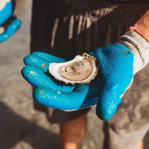 Crowe’s Pasture Oysters